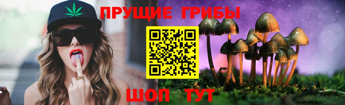 Псилоцибиновые грибы Psilocybe  Галлюциногенные грибы GOLDEN TEACHER  Томск  Вход с VPN 