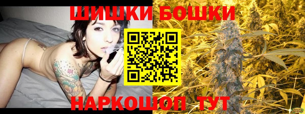 Каннабис сатива Томск
